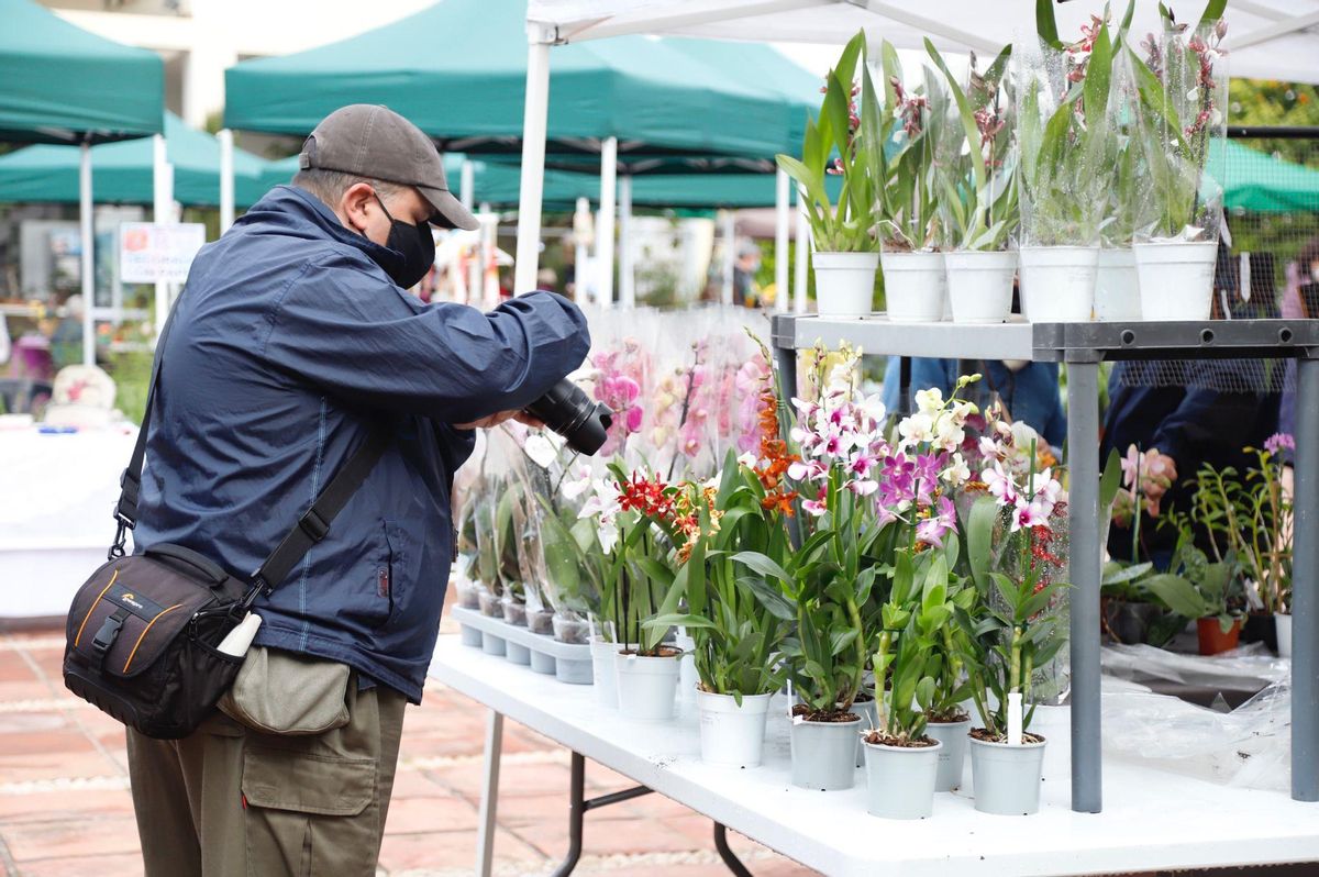 La Feria de la Orquídea en el Botánico está organizada por la Asociación de Amigos del Jardín Botánico y la Red de Trueque de Córdoba.