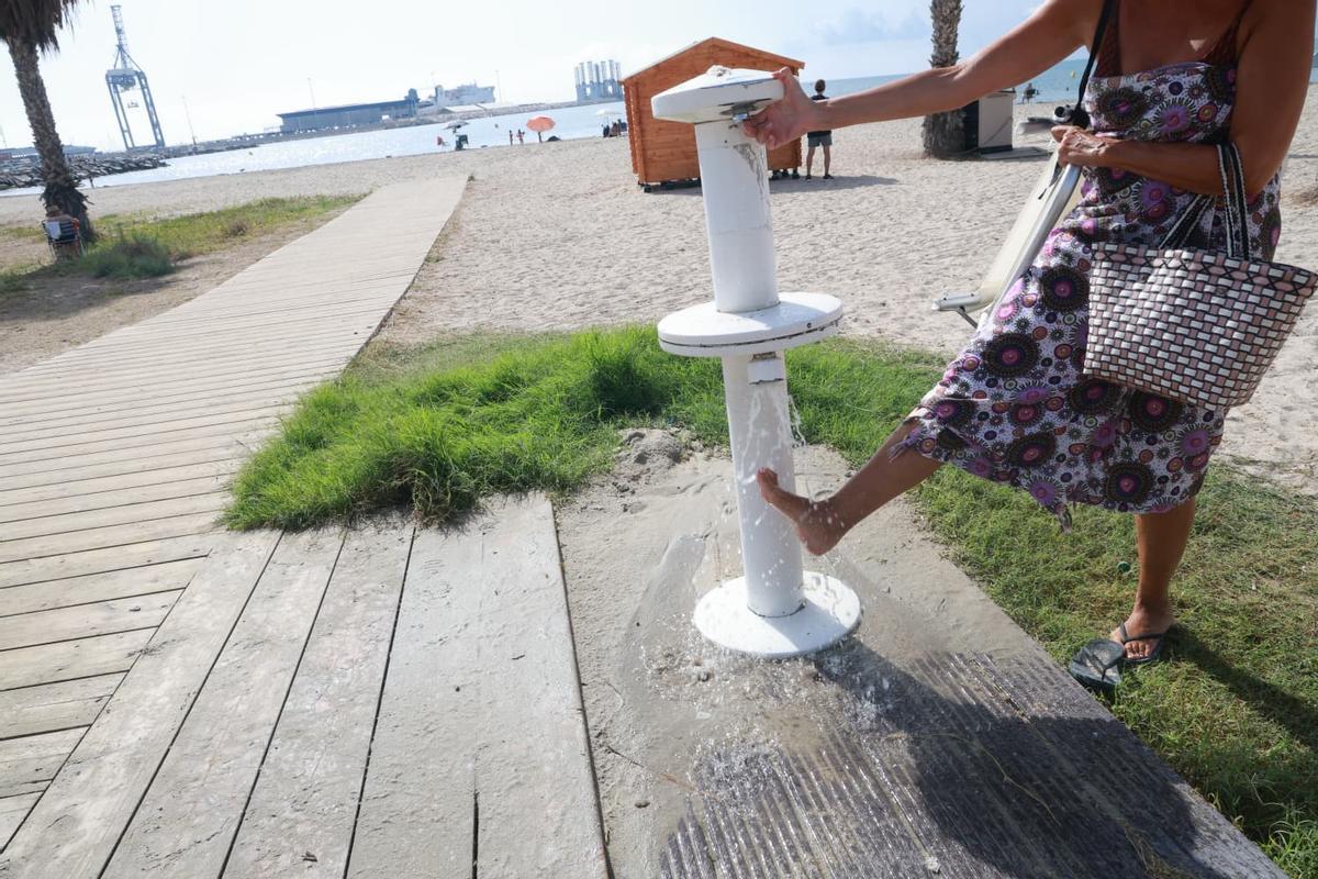 Lavapiés con vegetación alrededor y presencia habitual de avispas en la playa de San Gabriel.