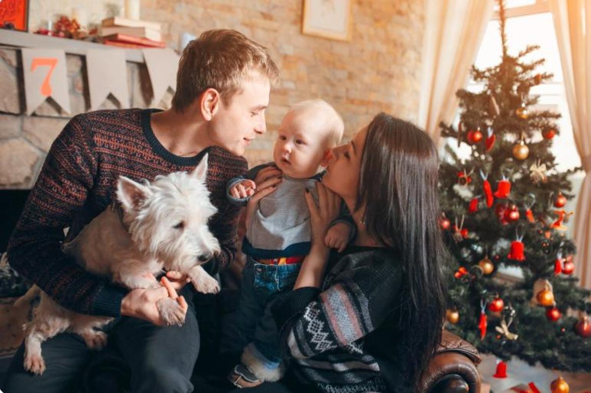 Una mascota a la família