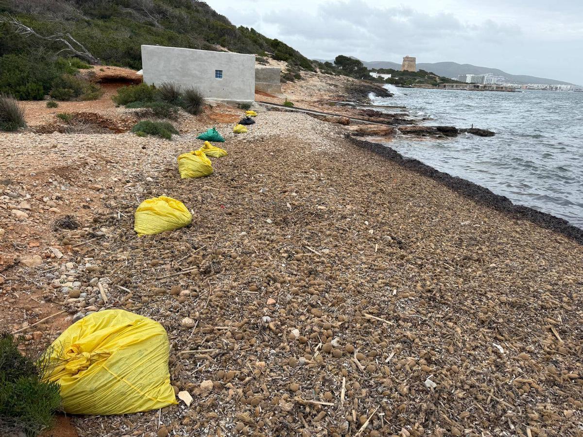 Todas las imágenes de los restos del yate hundido y el cierrer de la playa más cercana a sa Sal Rossa