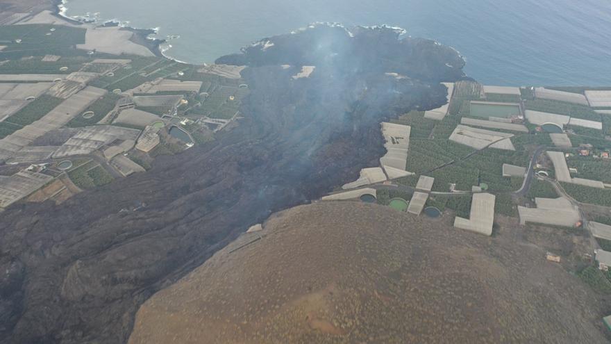 El viñedo palmero padece un estrés hídrico del que  ya estaba ‘tocado’ y que empeora la erupción del volcán