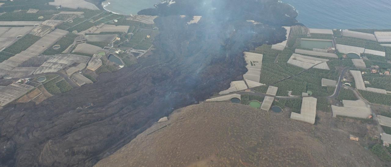 El volcán destruye el 13% de los viñedos de La Palma