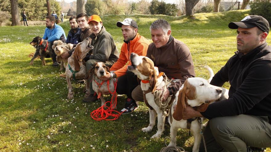 Una medida muy demandada por el sector: autorizan a la asociación de cazadores Carrión a usar perros para ahuyentar jabalíes