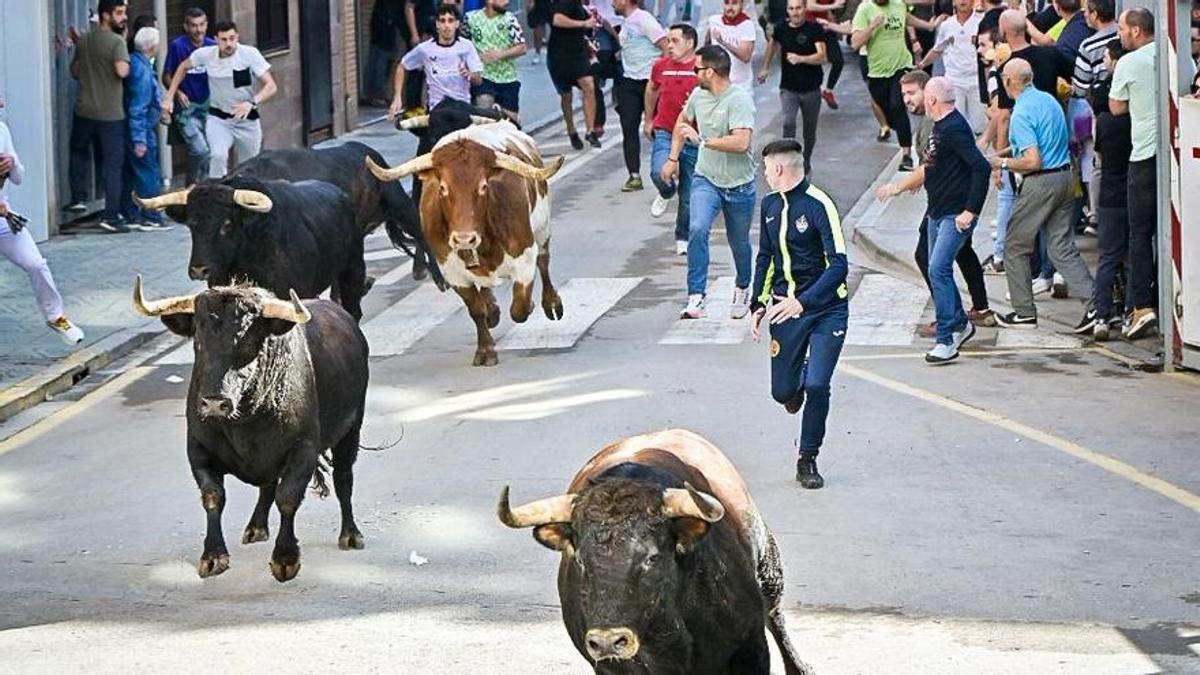Imagen de archivo de un encierro de la Fira d'Onda del 2024. Los encierros este 2025 empiezan este jueves.