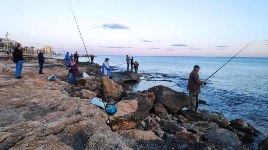 La rotura en Torrevieja de jaulas de las granjas marinas deja libres miles de lubinas