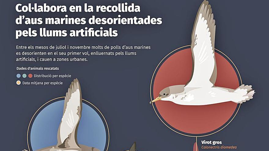 Uno de los carteles distribuidos por Medio Ambiente. | CAIB