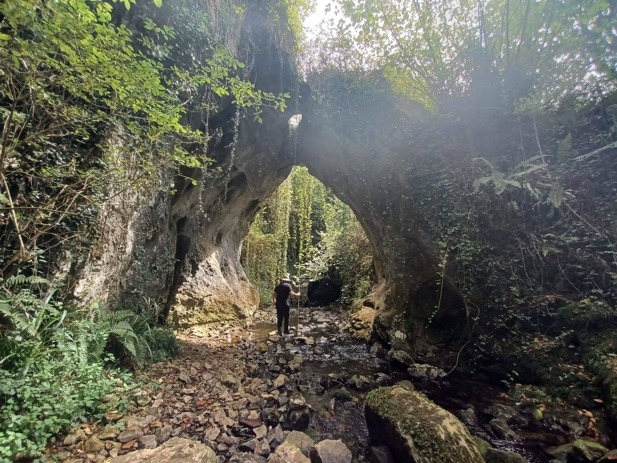 En imágenes, el espectáculo natural que se esconde en Llanera