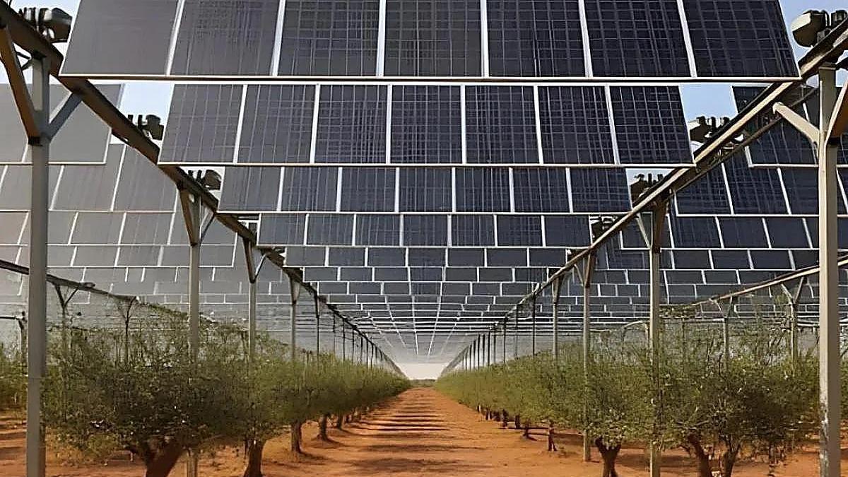 Recreación de los proyectos de plantas fotovoltáicas  de Nefer Power en Los Belones.