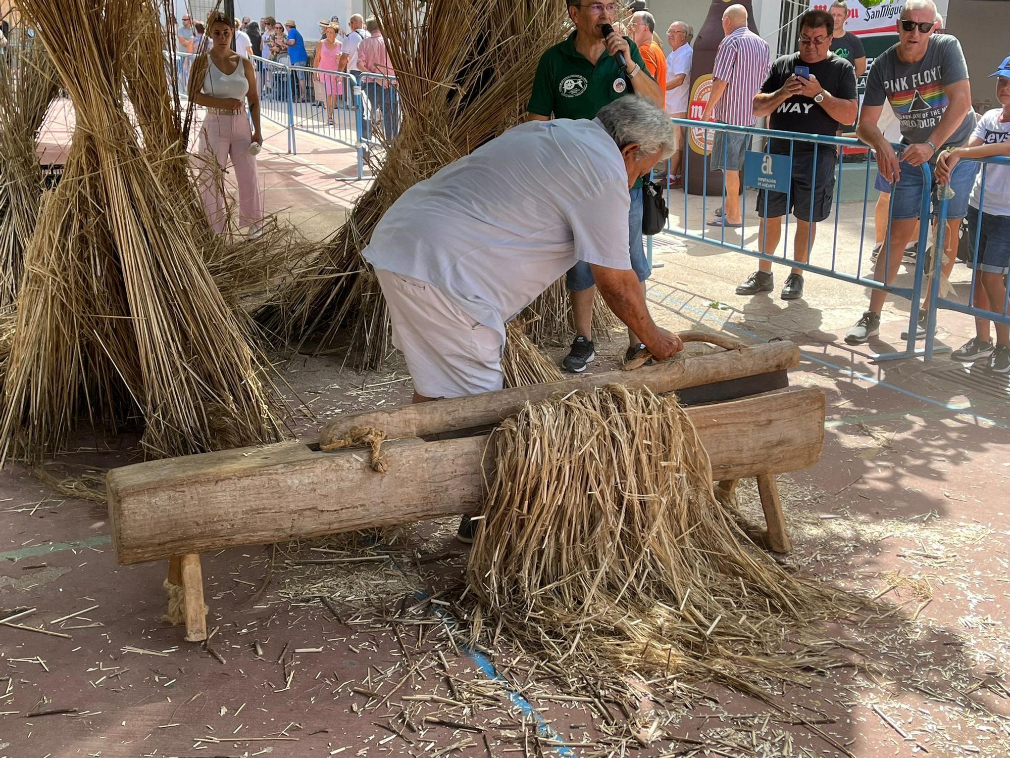 Callosa demuestra que el cáñamo es un cultivo tradicional y de futuro