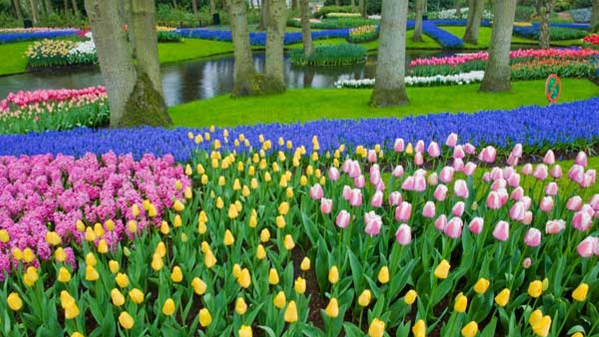 Keukenhof