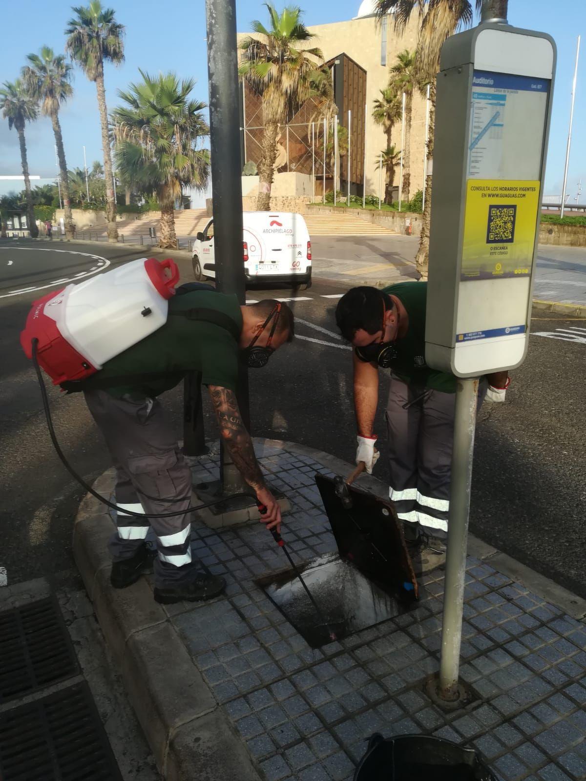 La pintura insecticida llega al Alfredo Kraus y el barrio de San Roque