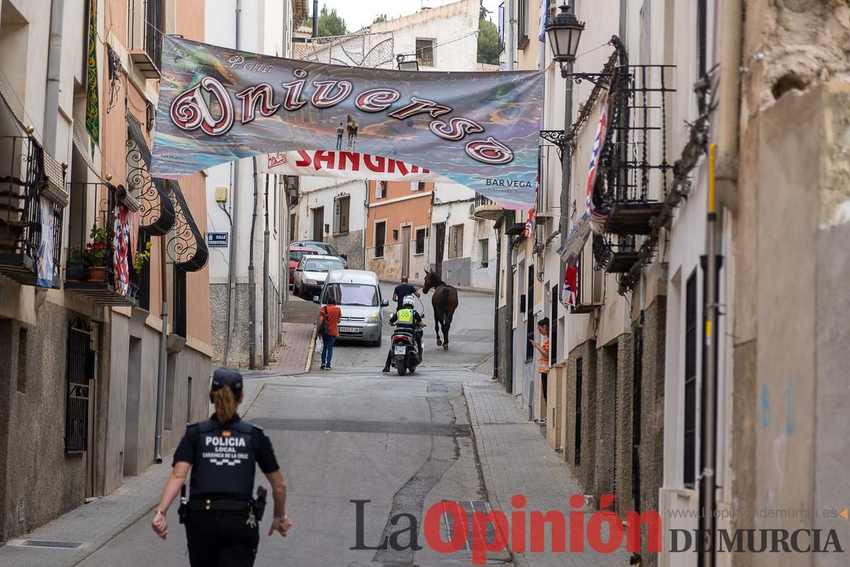 Control veterinario de los Caballos del Vino en Caravaca