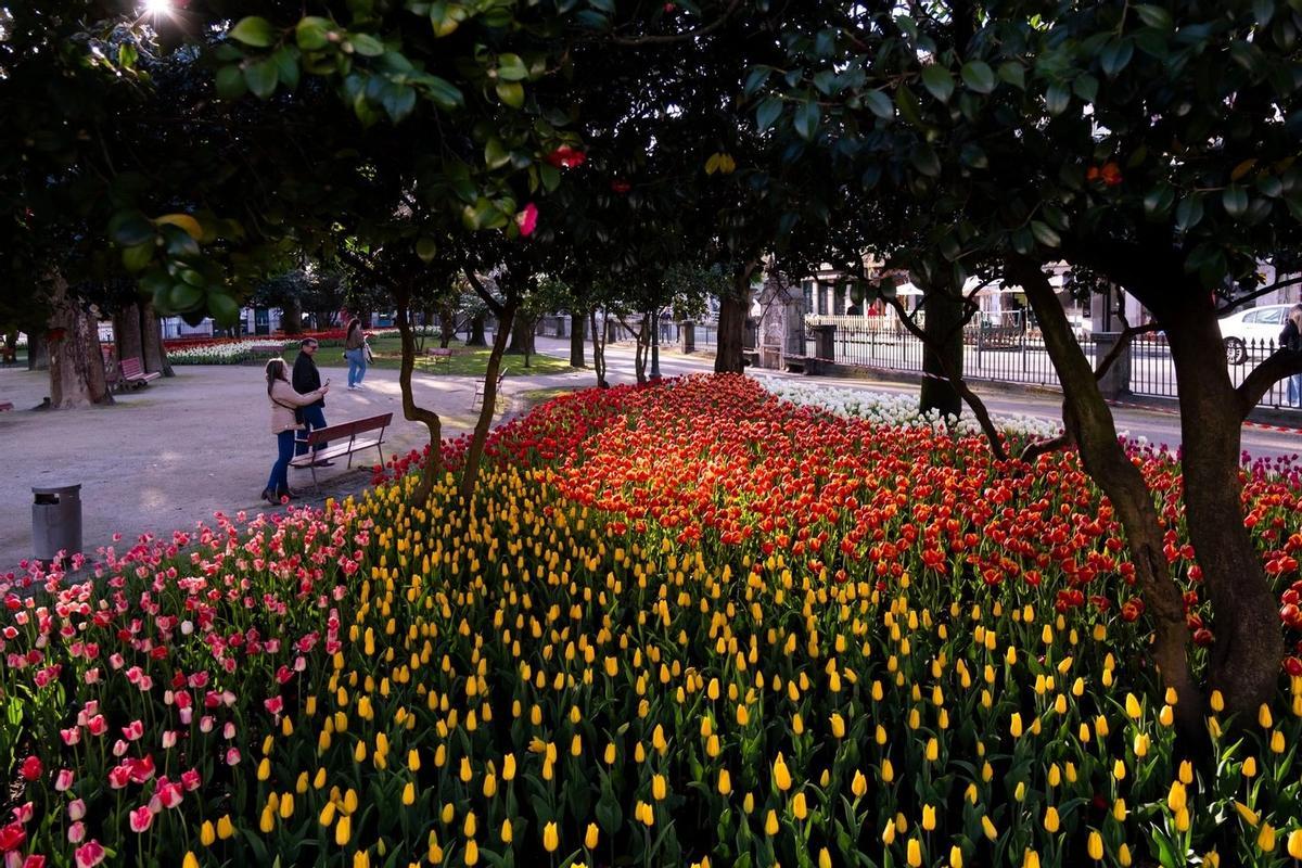 Uno de los jardines de Oporto repleto de tulipanes.
