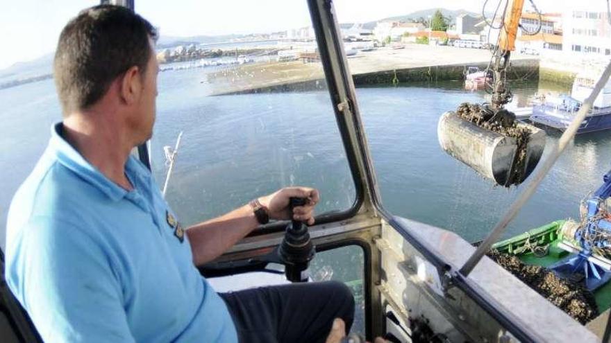 Descargas de mejillón en el muelle de Vilaxoán. // Noé Parga