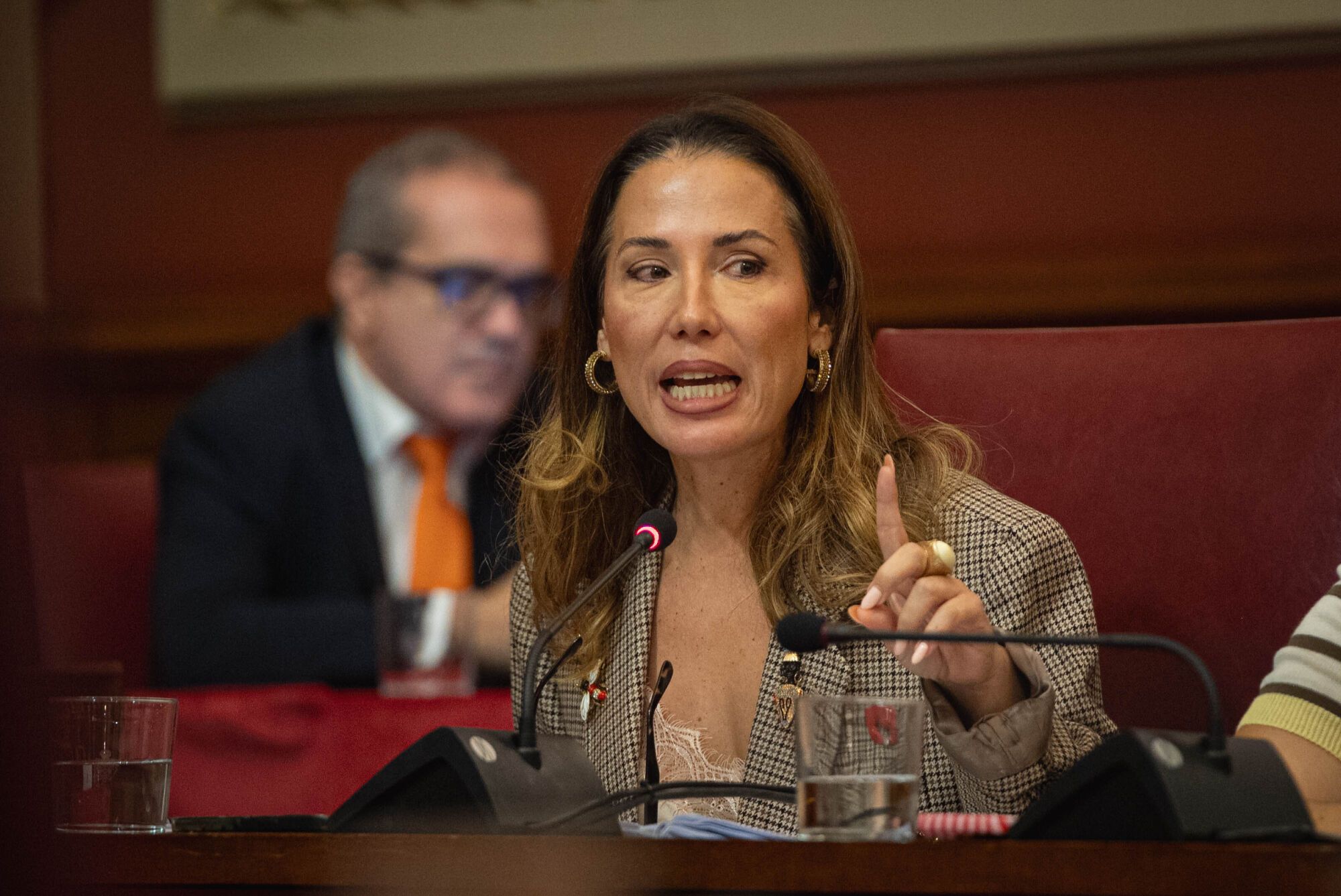 Pleno del Ayuntamiento de Santa Cruz