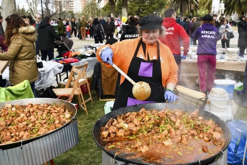 Cincomarzada en Zaragoza