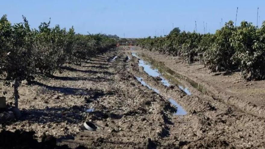 Extremadura destinará 38 millones a daños por las borrascas, pero no prevé ayudas directas