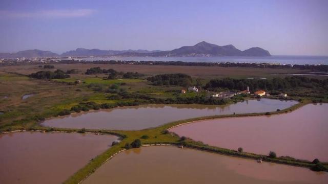 Fotograma del video que muestra la depuradora de la playa de Muro.