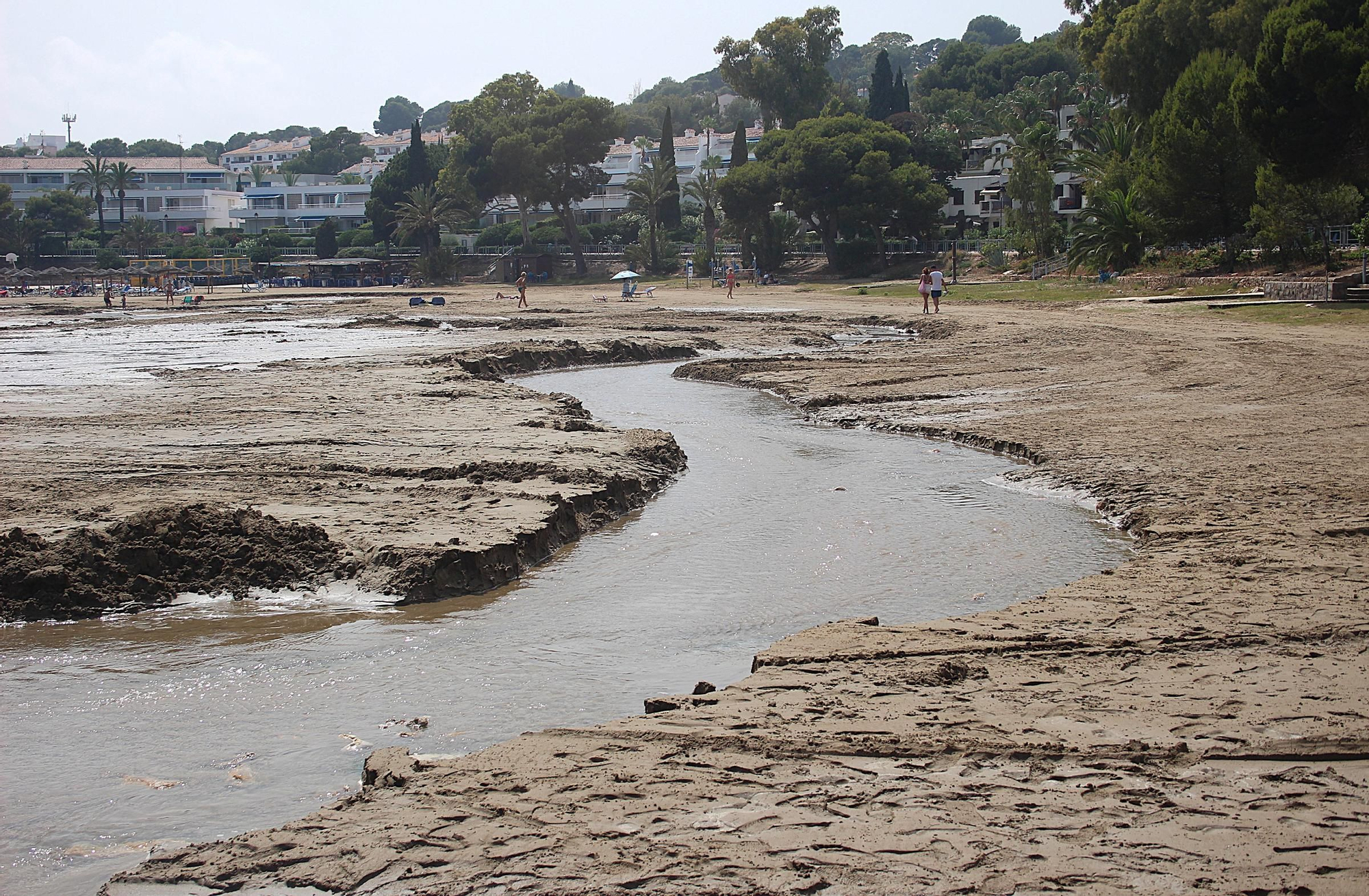Galería | Estado de la playa Las Fuentes
