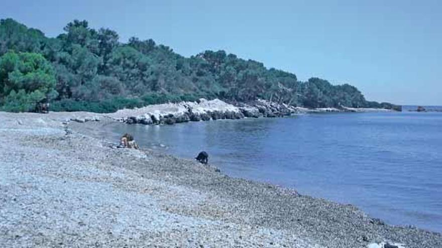 La playa de Alcanada, en Alcúdia, acordanada tras el hallazgo del cadáver de la joven.