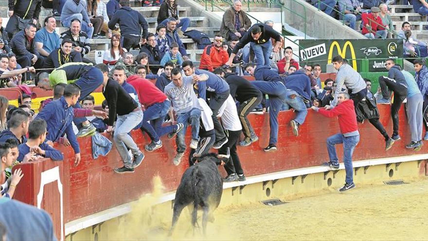 El parque Ribalta, escenario  de la X Fira del Bou per la Vila