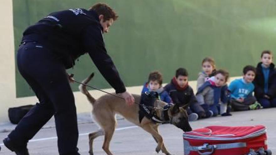 Exhibición de la Policía Local sobre detección de drogas.