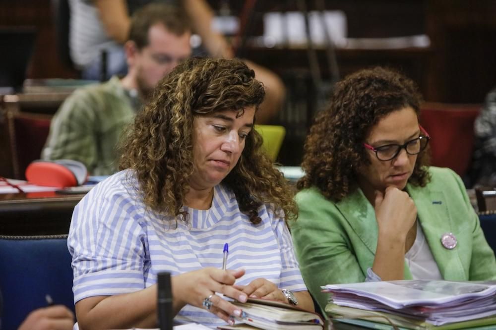 Pleno del Parlament