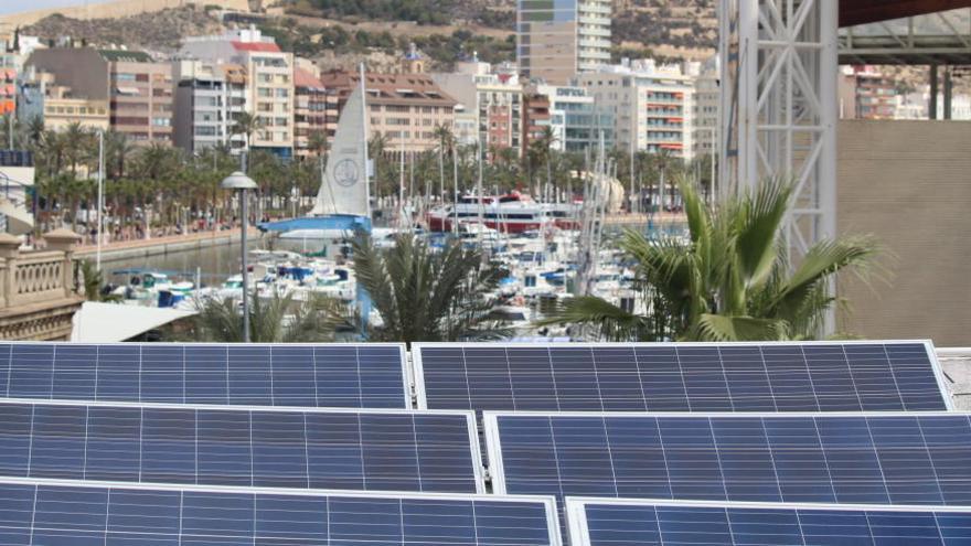 El Puerto de Alicante asegura haber evitado en un año la emisión de 1.177 toneladas de CO2 a la atmósfera