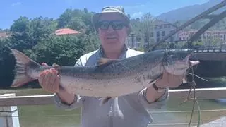 El Cares ya tiene su campanu: Lo capturó el gijonés Jorge Alfonso Parrado y pesó 5,6 kilos