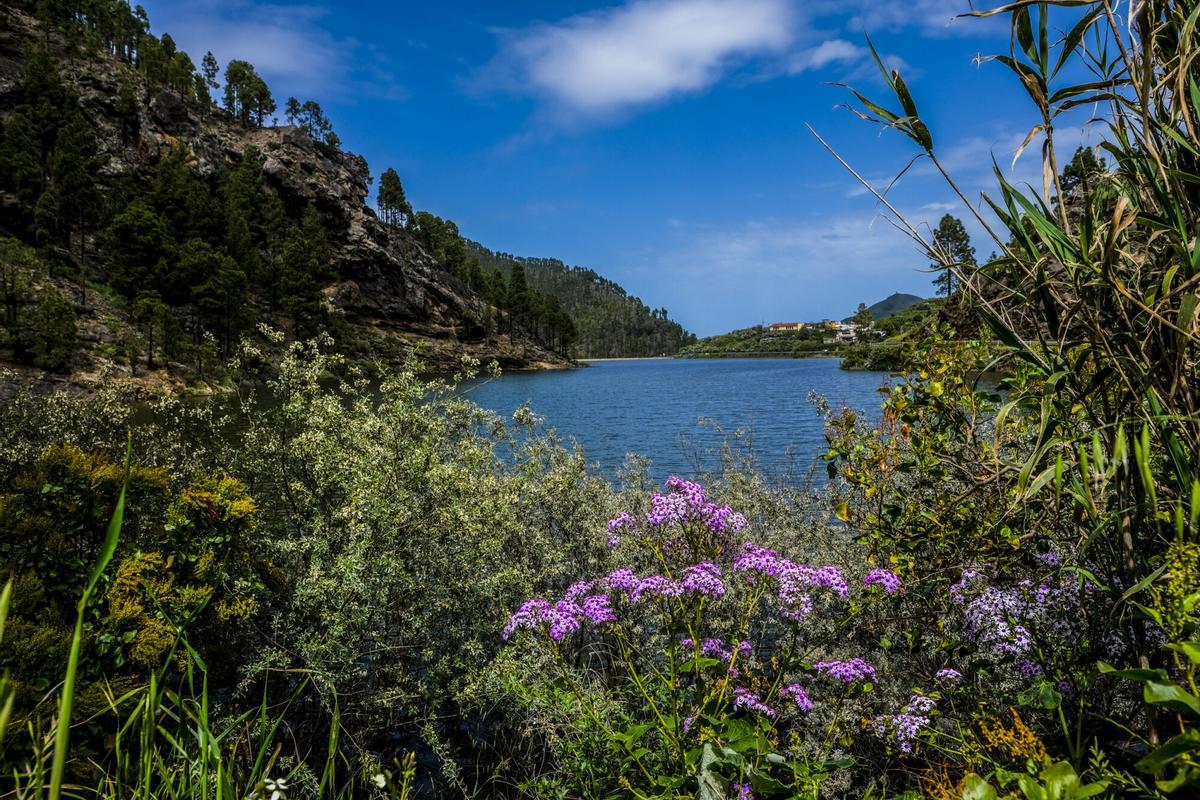 Presas de Gran Canaria, abril 2026