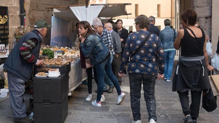 Gent passejant pel centre històric de Cardona en l&#039;última edició de la Fira de la Llenega