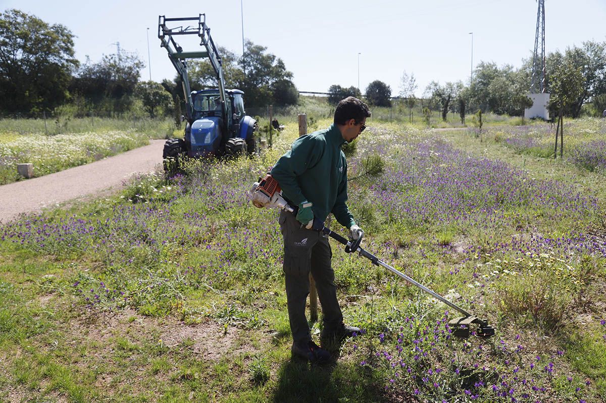 El Parque de Levante de Córdoba avanza en su finalización