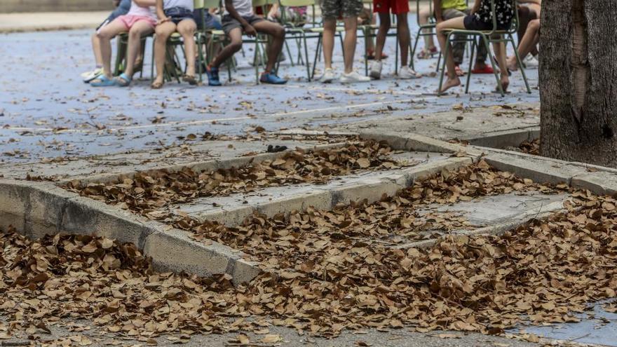 Suciedad en un colegio de Alicante. La limpieza de los centros, en entredicho