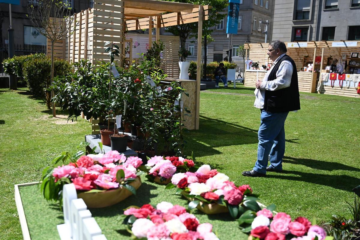 En los jardines pueden adquirise plantas y regalos inspirados en las camelias.