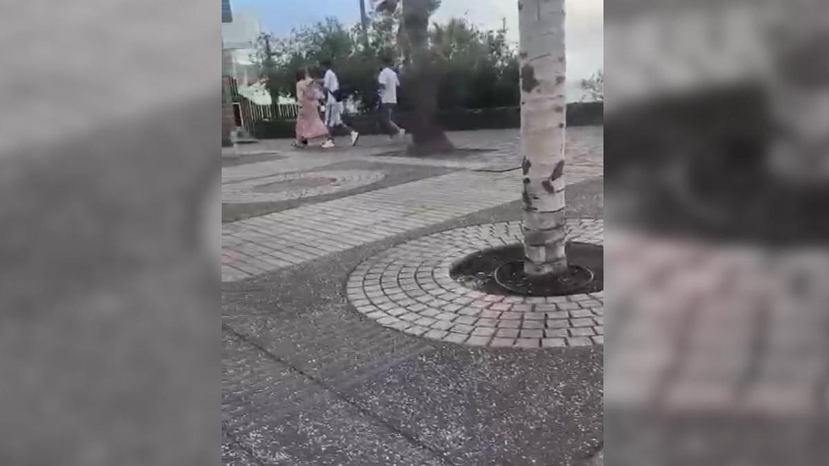 Carteristas en el sur de Tenerife