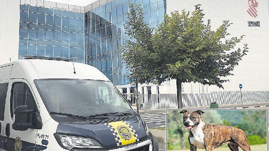 El perro que atacó a dos vecinas de Vila-real no llevaba el bozal obligatorio