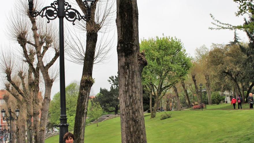 Nuevas luminarias para mejorar la iluminación de Oviedo y reducir el consumo