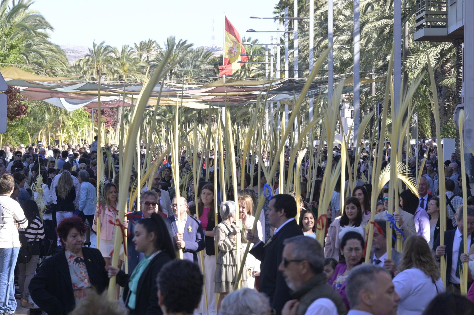 Domingo de Ramos en Elche