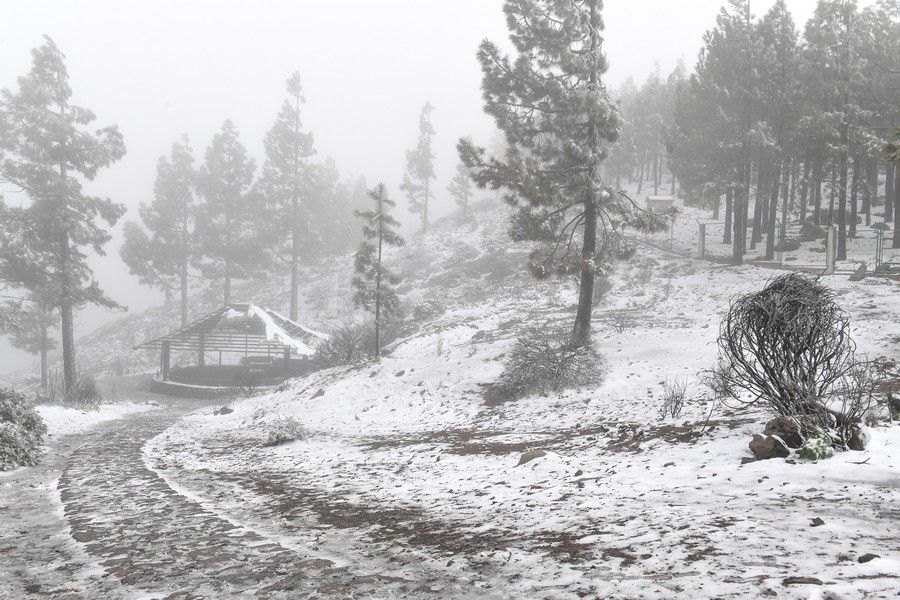 Visita a la cumbre nevada