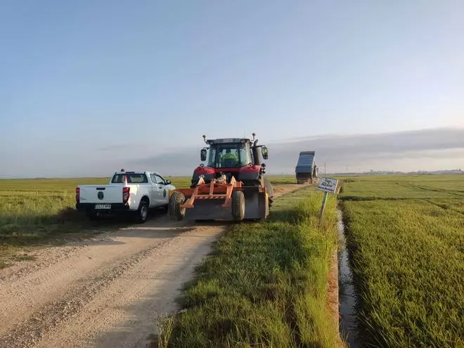 Sueca repara más de 10 kilómetros de caminos rurales para prevenir incendios forestales