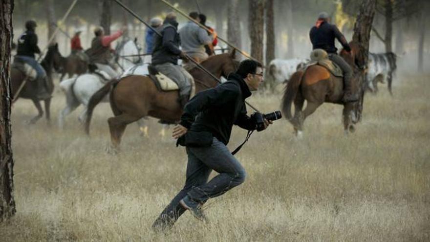 Un fotógrafo de prensa, herido por el toro de la Vega