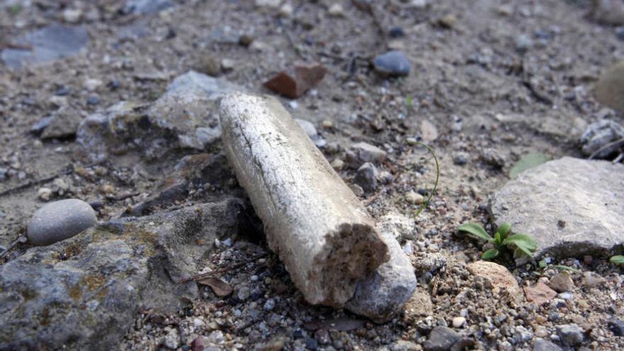 Part de les restes òssies trobades a tocar l&#039;església.