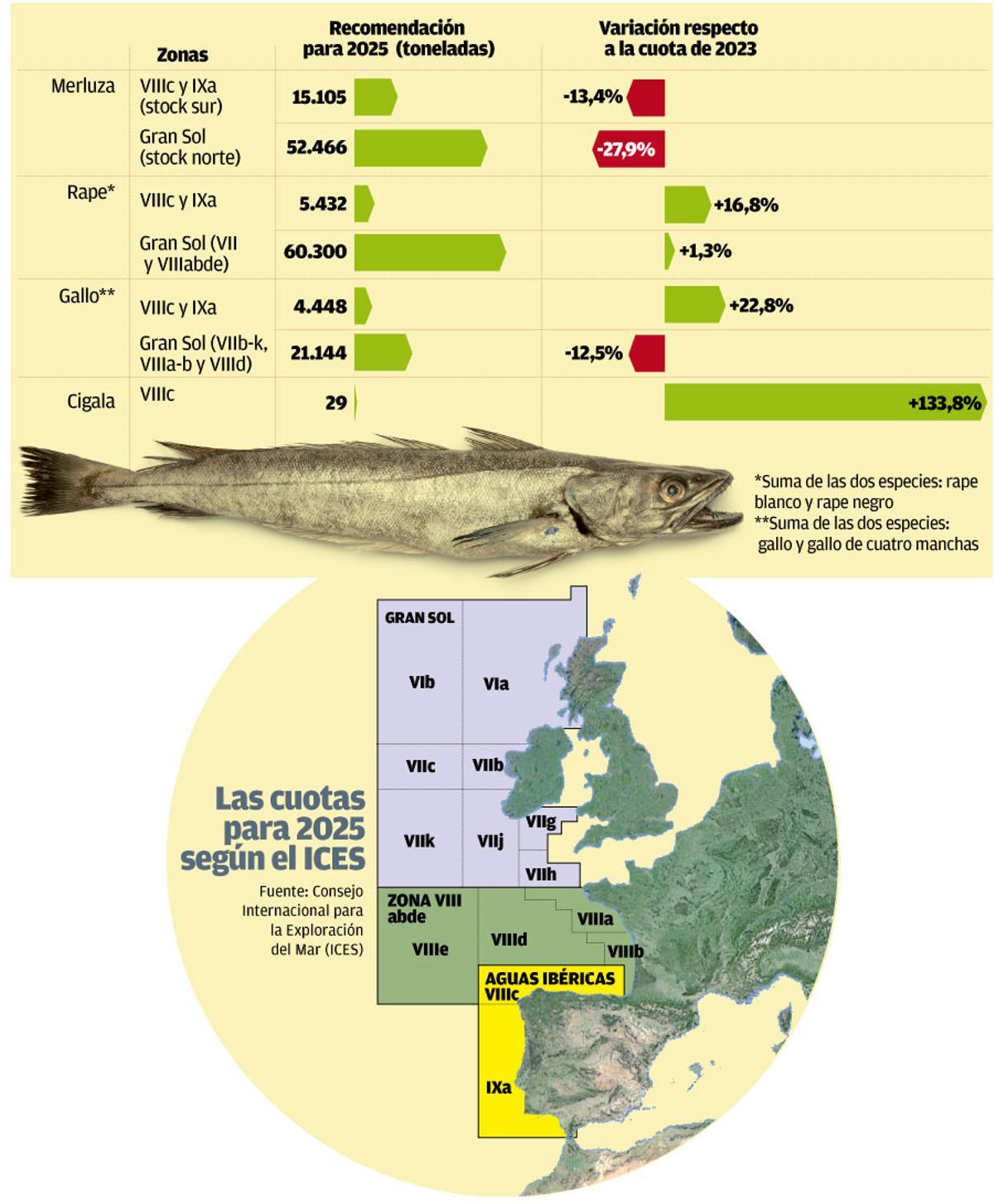 cuotas pesca W