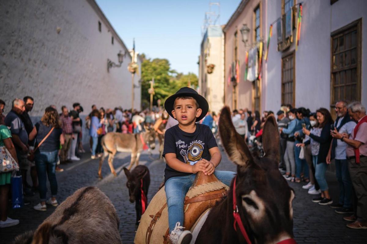 Noche de los Burros en La Laguna, julio de 2022 Noche de los Burros en La Laguna, julio de 2022