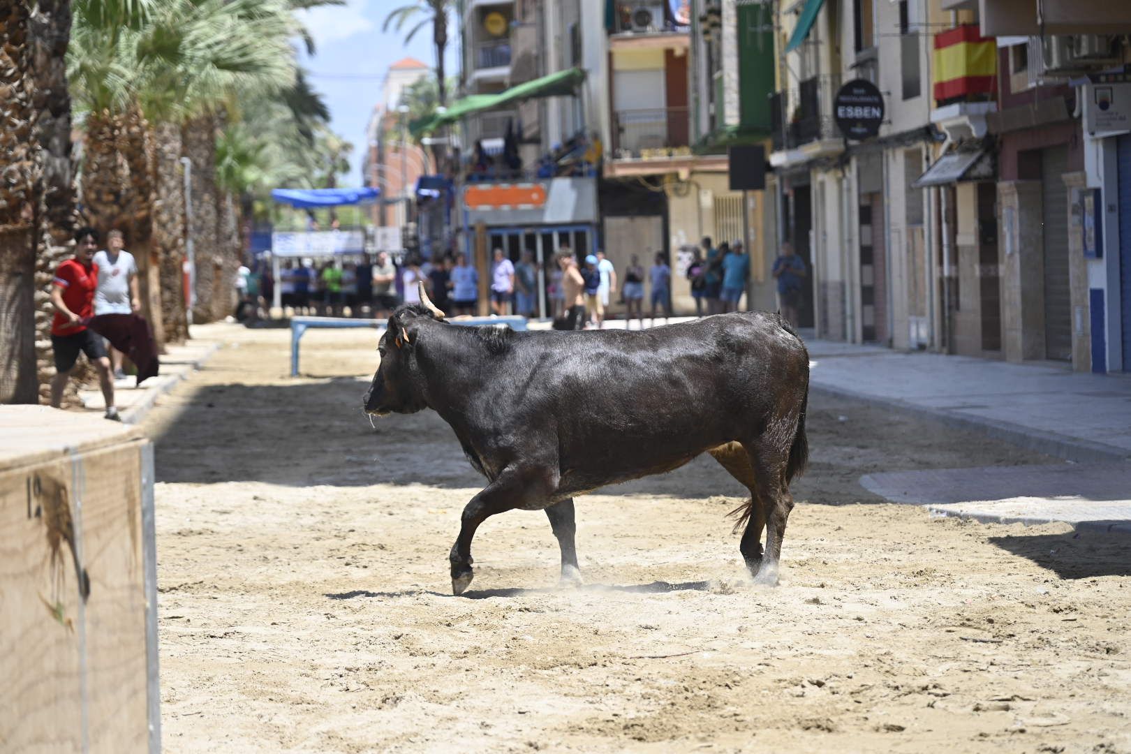 Martes de tradición, toros y fiesta en el Grau por Sant Pere