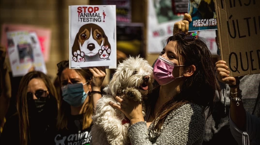 24 April 2021  Spain  Barcelona  An activist holds her dog while participating in an animal riGhts protest staged in Barcelona demanding the closure of animal testing lab  vivotecnia   Photo  Matthias Oesterle ZUMA Wire dpa  24 04 2021 ONLY FOR USE IN SPAIN