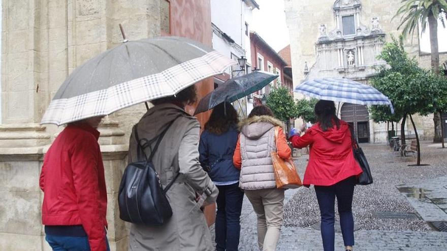 La lluvia y el viento dejan 23 litros por metro cuadrado y árboles caídos en Córdoba