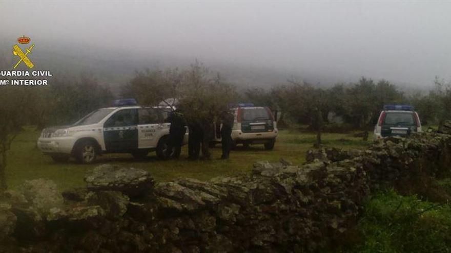 APAG Extremadura Asaja agradece la labor de la Guardia Civil en la &quot;oleada de robos&quot; de aceitunas