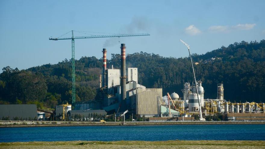 El conflicto judicial causa "inestabilidad" al sector y pérdida de inversiones "al menos por un decenio"
