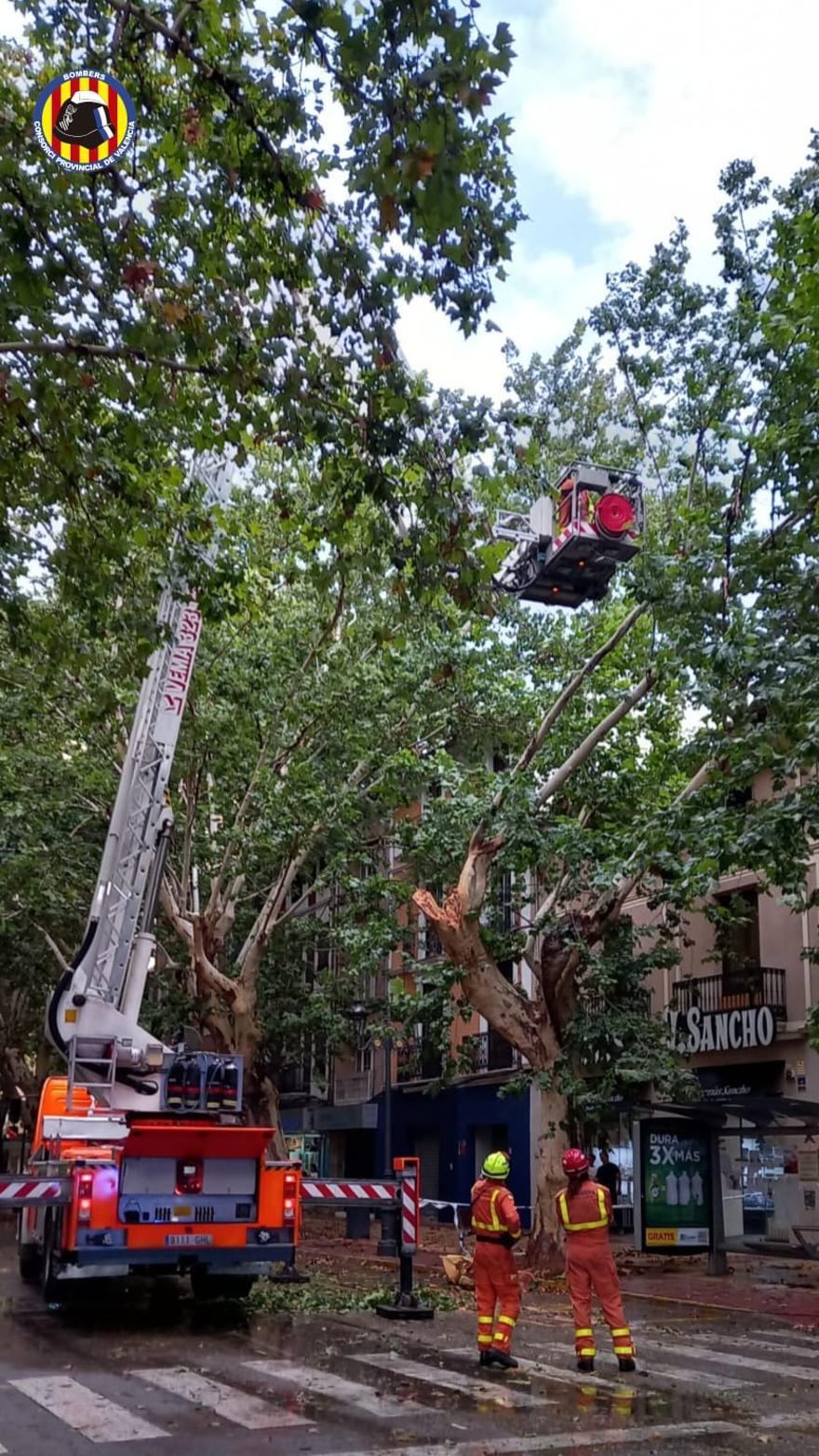 El granizo y las trombas de agua tumbas árboles y destrozan placas solares